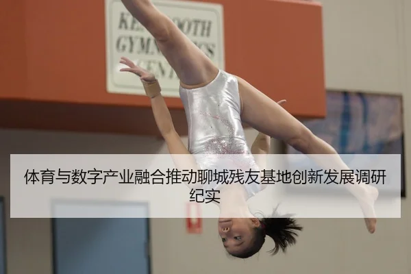 ti-yu-yu-shu-zi-chan-ye-rong-he-tui-dong-liao-cheng-can-you-ji-di-chuang-xin-fa-zhan-diao-yan-ji-shi-2-679.jpg